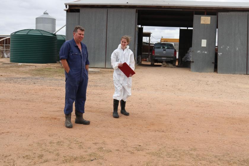 Extension Officer Australian Pork